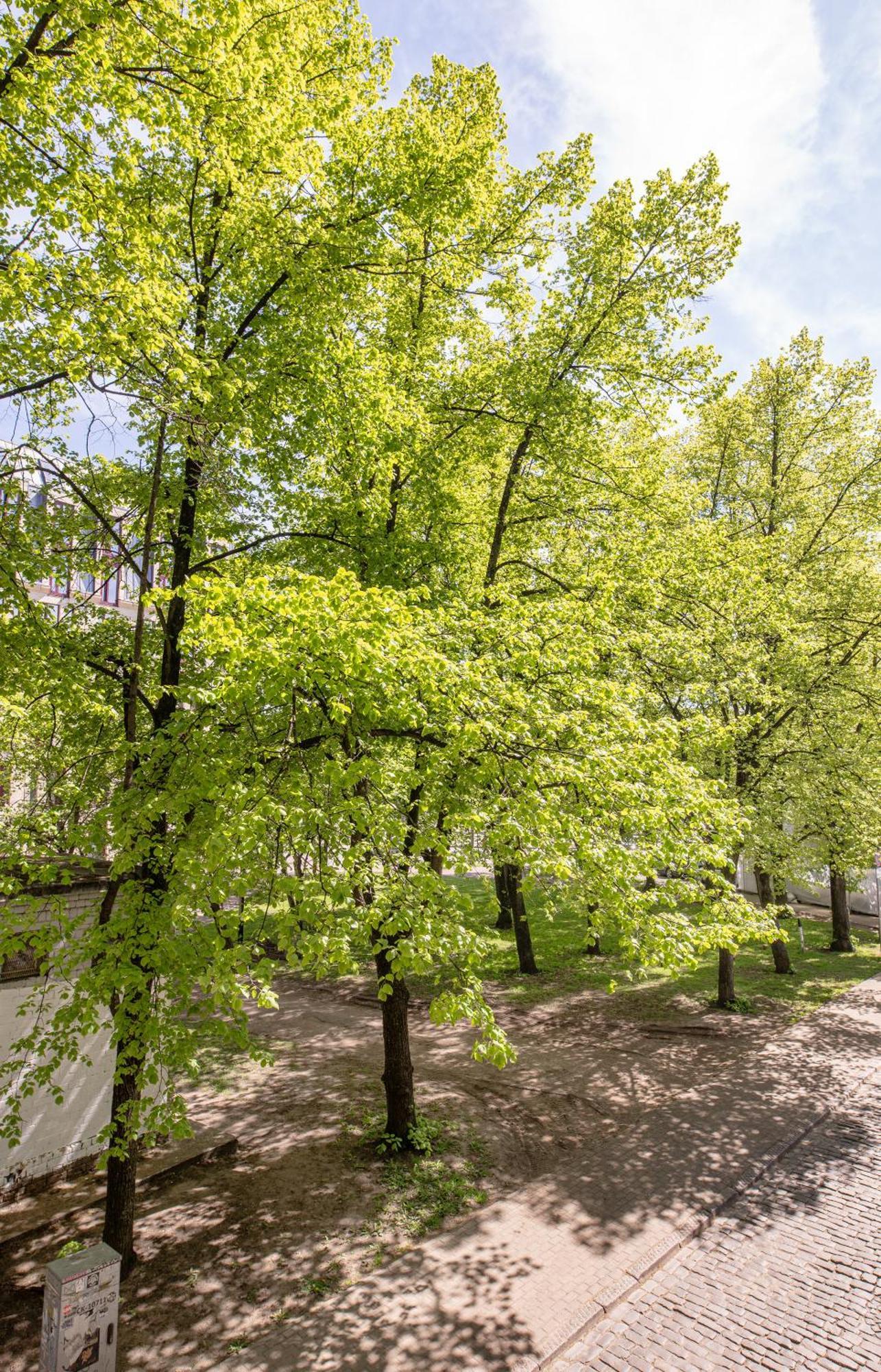 Park View Old Town Appartamento